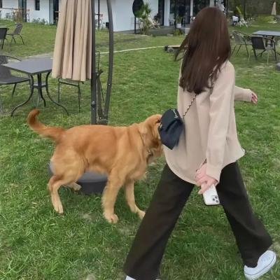 她不土，她是我妹妹